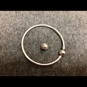 Pandora Bracelet and Virgo sign charm